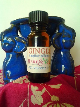 Ginger Essential Oil (Zingiber officinale) 1/2 Ounce